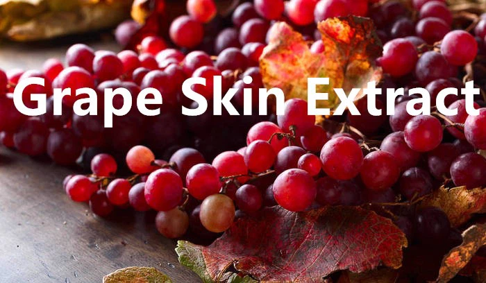 Grape Skin Extract.png